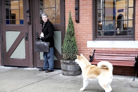 Hachiko: A Dog's Story